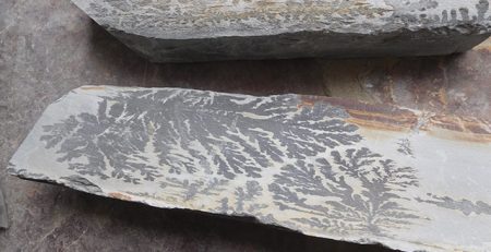 Where does slate come from - RTC Quarries Blog